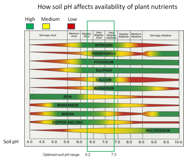 Soil pH Nutrient Availability
